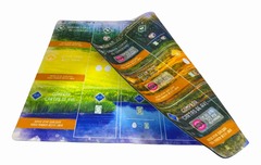 Wingspan Double-sided Playmat